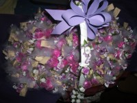 /album/galeria-de-fotos/imagem-187-jpg1/